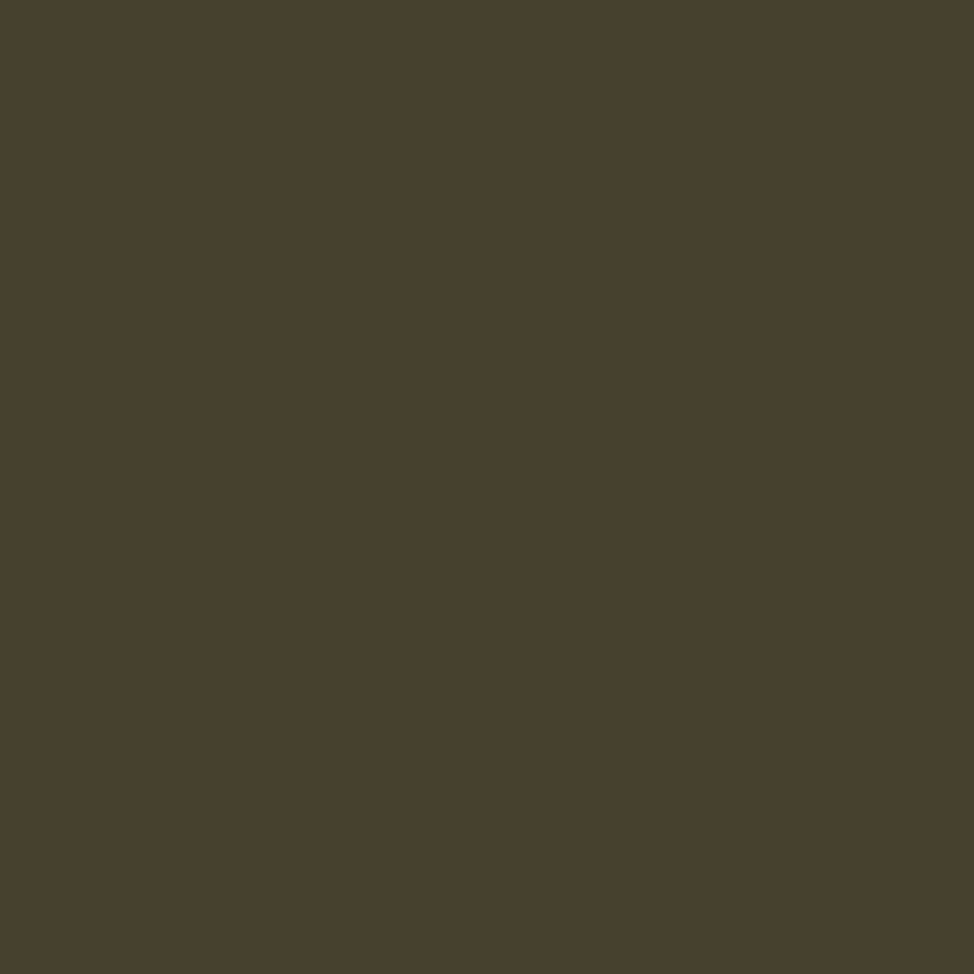 สีเขียวขี้ม้า Yellow Olive RAL 6014