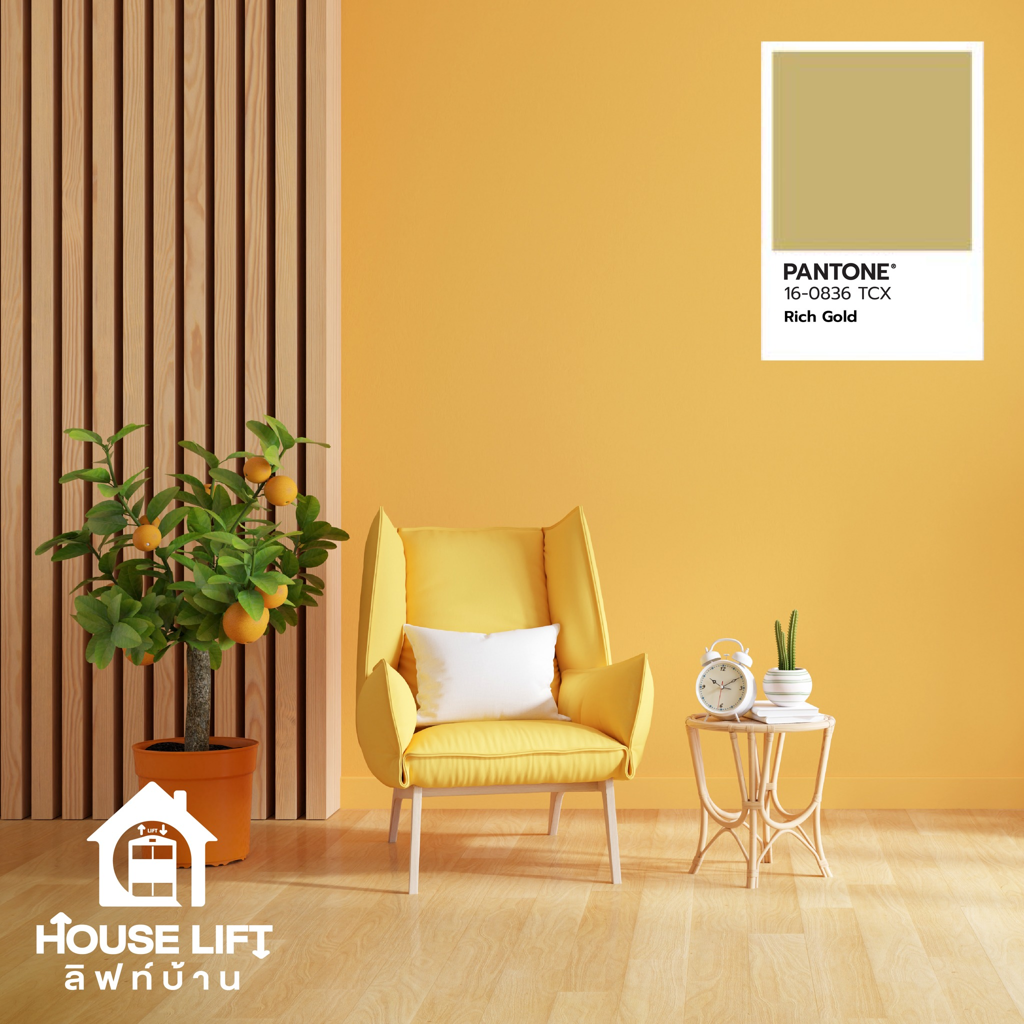 สีเบจแกมทอง (Rich Gold)